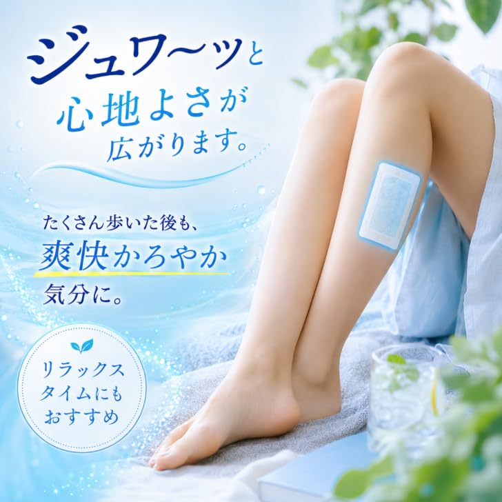 Carbonated Gel Pack 6 Pieces (2 X 3 Bags) 2 Box Set Lavender Mint