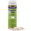 Hoya Propolis & Sage Candy 60 Tablets