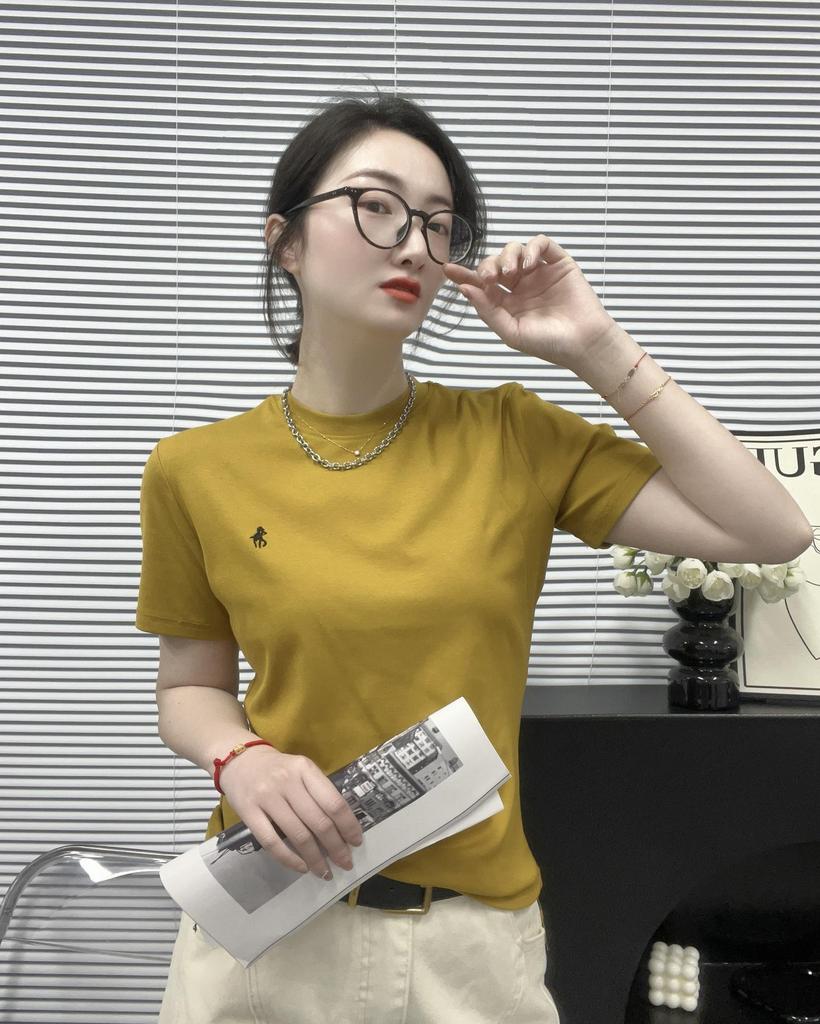 Women's Spring 2025 Embroidered Round Neck Slim Short Sleeve Top