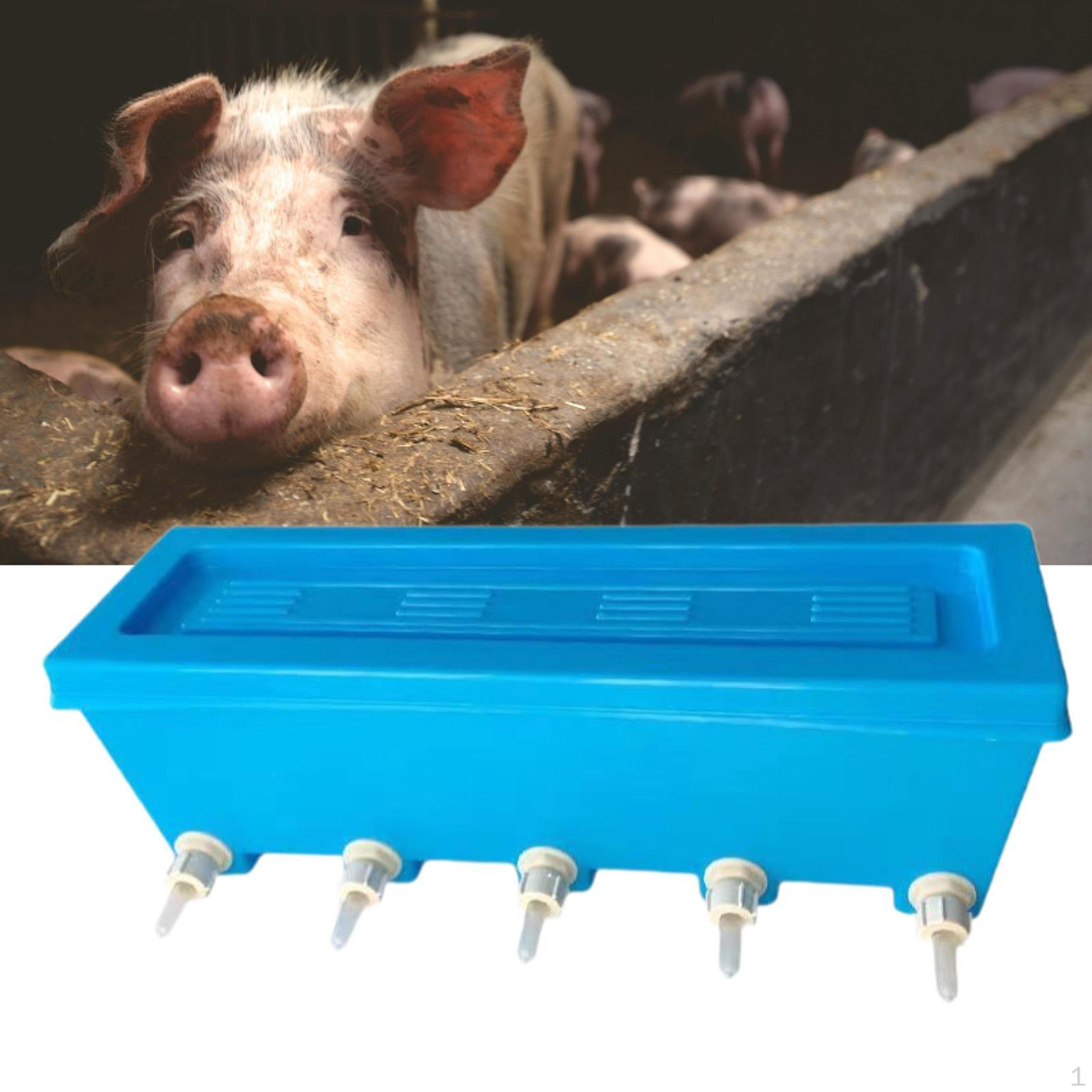 

Корм для ягнят Бутылка Ферма Поильное оборудование Кувшин для молока овцы Портативный для фермы, Кормушка для ягнят, Домашний скот