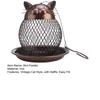 Wild Bird Feeder Vintage Cat Style with Baffle Easy Fill Spacious Standing Space