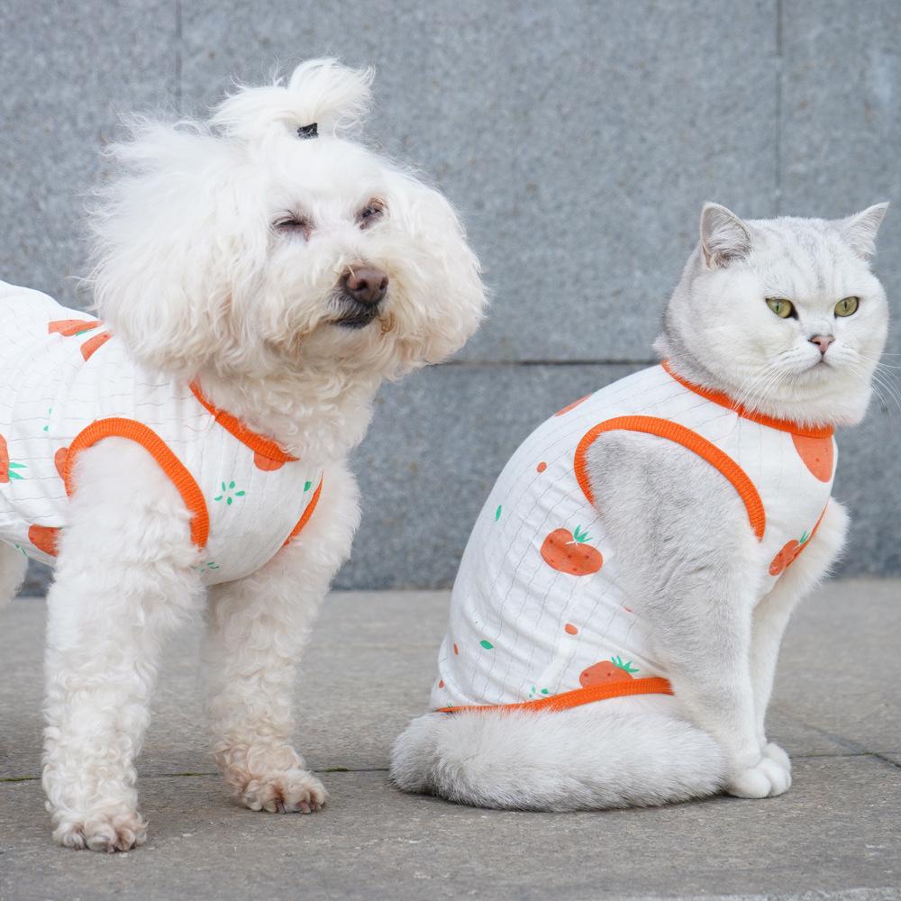 Dünne Haustierweste gegen Haarausfall Hundekleidung großer Hund Teddy Katze Corgi Kampfkleidung