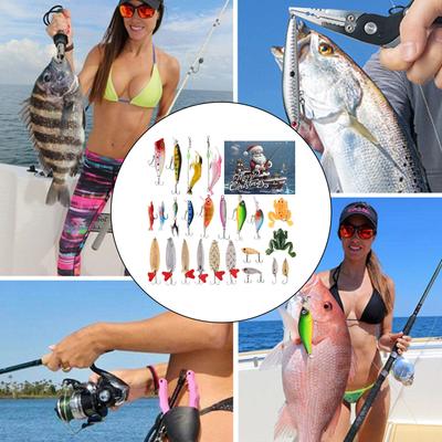 24 ks Vánoční odpočítávací kalendář Rybářské tvrdé nástrahy Minnow Rybářská nástraha Crankbait Tvrdé nástrahy Umělé nástrahy