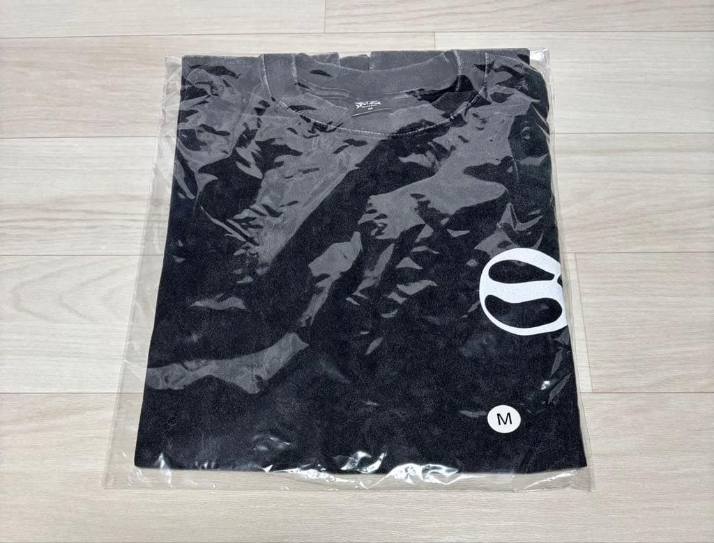 [USED] Stray Kids World Tour Long Sleeve T-Shirt, Size M