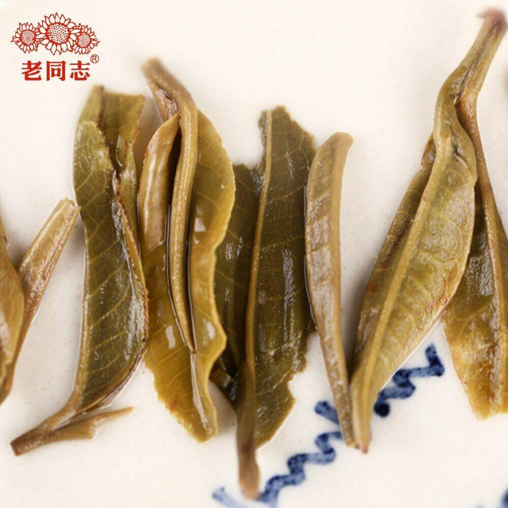 Top Raw Puer Tea Cake Haiwan The Gathering of Plant Spirit Shen Puerh Tea 400g