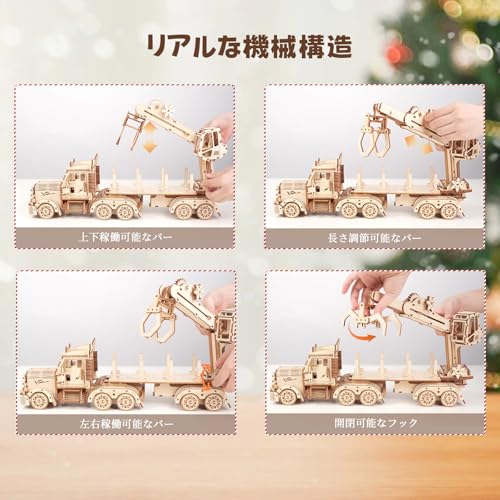 Hallisun 3D Wooden Puzzle, Truck Crane, 3D Puzzle, Wood Puzzle, Car, Moving Wooden Car, Mechanical Craft, DIY, Adult, Birthday, Assembly Kit, 3D Puzzl