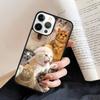 The Most Delightful Cat Phone Case Cover For iPhone 17 Air 16 15 14 plus 11 12 13 pro max coque Shell Fundas