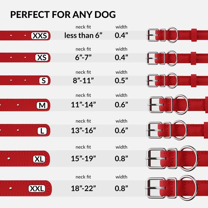 Collier pour chien - Collardirect - 43237-2 - Cuir véritable - Taille 15 cm - Doux et durable