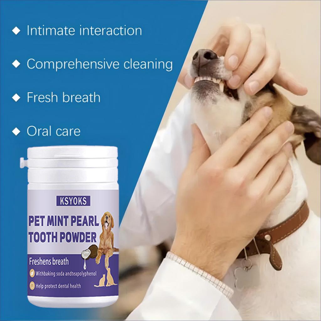 Deep Cleaning of Teeth Before Bedtime Saves Time and Effort In Caring for Furry Children