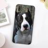 Pitbull Dog For Huawei Nova 12i 12s 11i 7i 8i Y73 Y70 Y90 Y60 Y72 Y61 Y91 9 10 SE P30 Pro P40 Lite Case