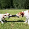 Dog training dog bite stick tear-resistant wear-resistant non-toxic interactive flapping bite stick pet dog tooth grinding toy