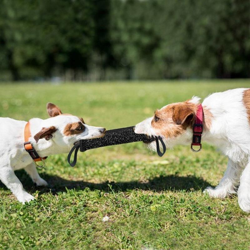 Dog training dog bite stick tear-resistant wear-resistant non-toxic interactive flapping bite stick pet dog tooth grinding toy