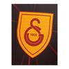 Galatasaray Bar Alper Ylmaz Design Fc T-Shirt E232268