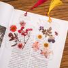 80Pcs/Set Dried Flower Bookmarks DIY Transparent Exquisite Long-lasting Bookmarks Student Accessories