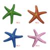 Pești și animale marine – Decorul acvariului