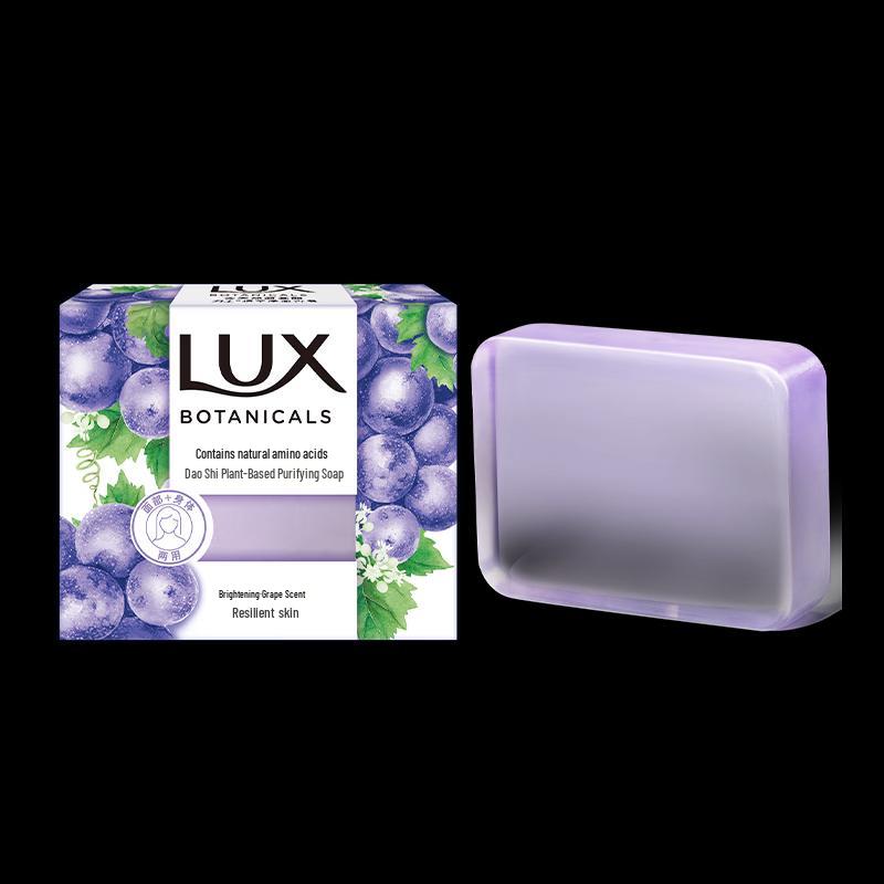 Lux Antibacterial Hand Wash & Botanical Soap Set