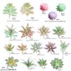 Diy Simulated Succulent Plant Hair Planting, Mini Fake Succulent Bonsai With Flowers, More Than 20 Styles Of Bn1