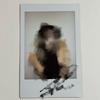 XLOV XLOX RUI Louis Sign Polaroid Sign Pola