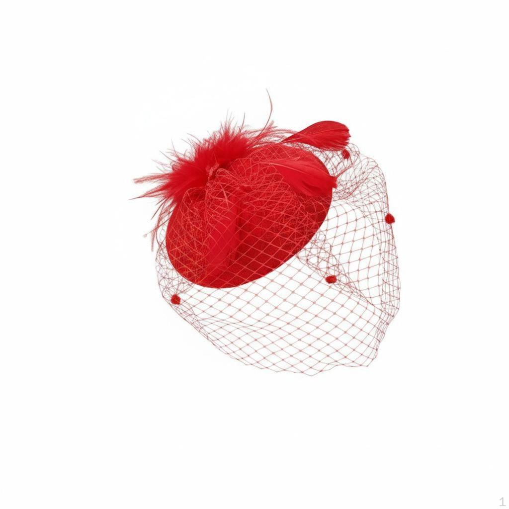 Feather Fascinator with Netting Vintage Design Headpiece Elegant Birdcage