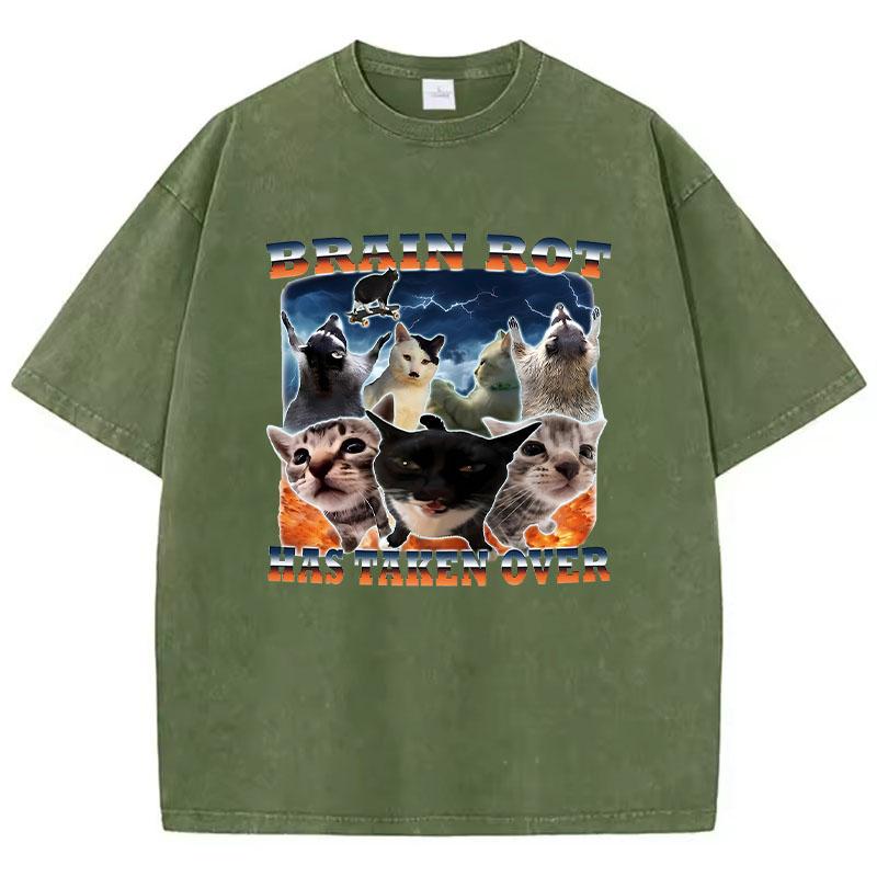 T Shirt Vintage Washed Cotton T-Shirt Graphic Brain Rot Has Taken Over Cat Graphic Tee Casual Streetwear Spring Summer Fall