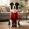 Thicken New Year Dog Hoodie Blessing Dog Fleece Coat Winter Puppy Clothes  Indoor Outdoor