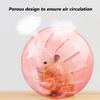 Mini Portable Pet Jogging Ball Plastic Gerbil Hamster Running Ball Accessories