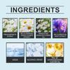 Canglan Daisy  Body  Light  Perfume Long Lasting Fresh  Body  Spray100ml