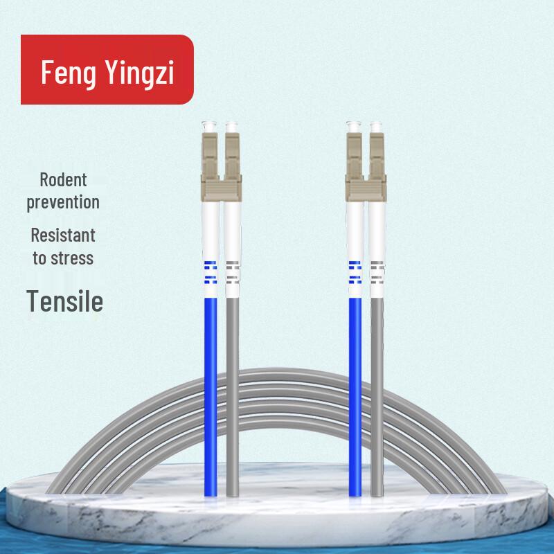 

Armored Fiber Optic Patch Cable 5m