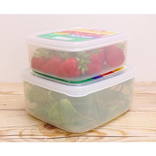 Lastro Snack Case, Large, 1.19L, B-1805, 031098