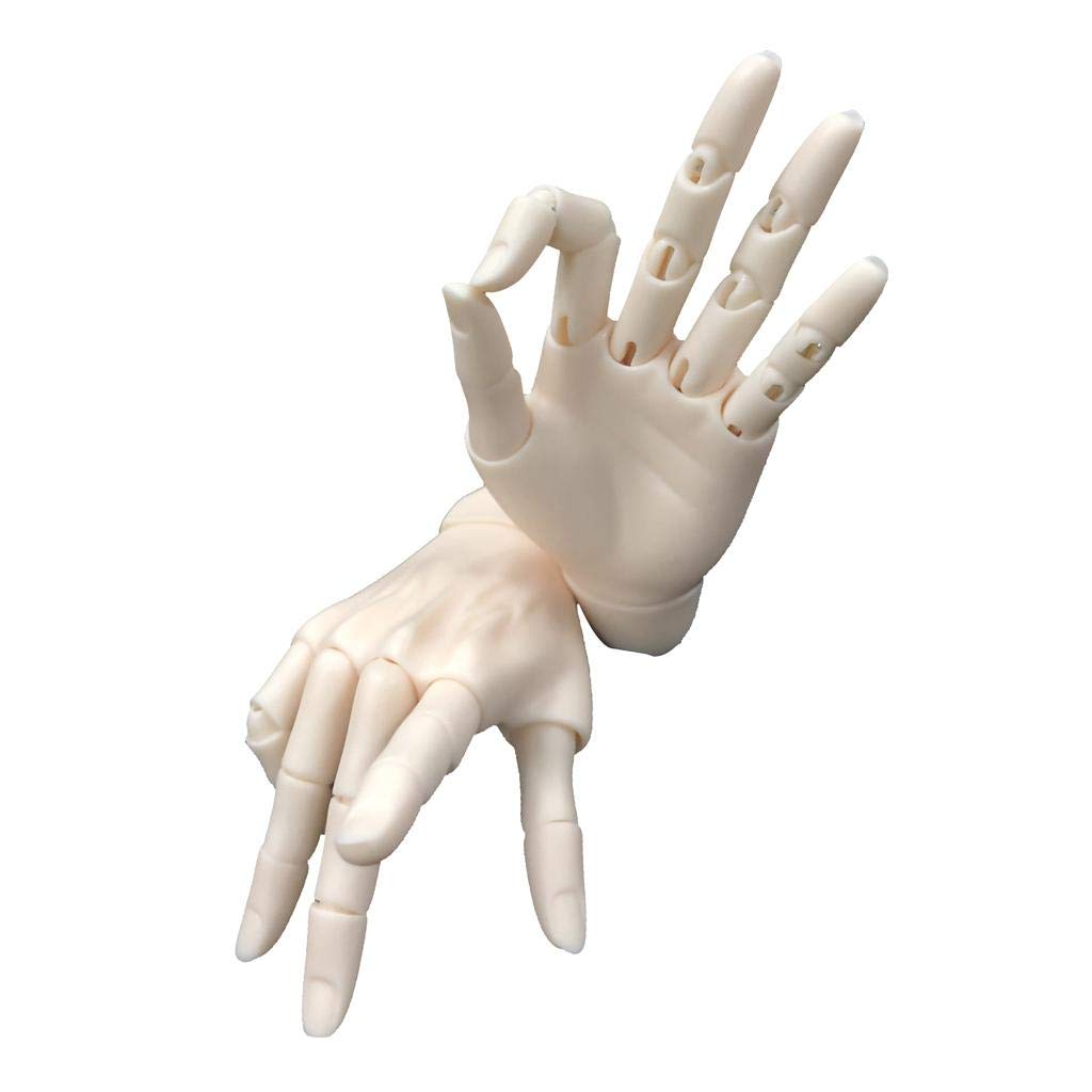 P Prettyia Hand Flexible Male Doll Hand Model Doll Making 2 Colors Normal Skin 15-joint 1/3BJD -