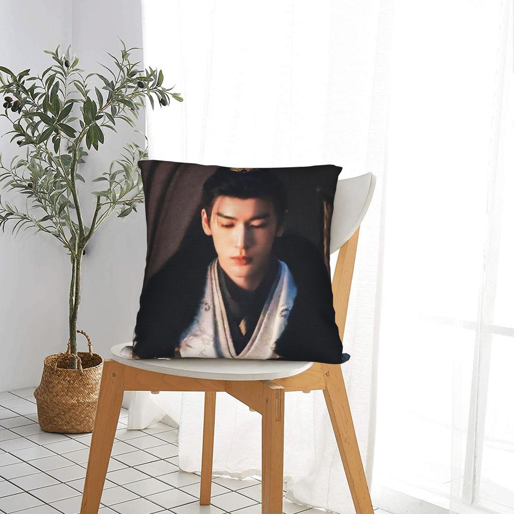 Tv Pursuit Of Jade X-Xie Zheng Z-Zhang Linghe Pillow Cover Print Cushion Cover Retro Trendy Pillow Case For Sofa Home Decor