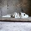 3D Articulated Dragon Skeleton Toy - Movable Bone Frame for Kids' Creative Birthday Gift by TYmy