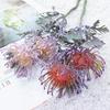 Artificial Flowers Short Branch Crab Claw 2 Fork Pincushion Christmas Garland Vase for Home Wedding Decoration Fake Planting
