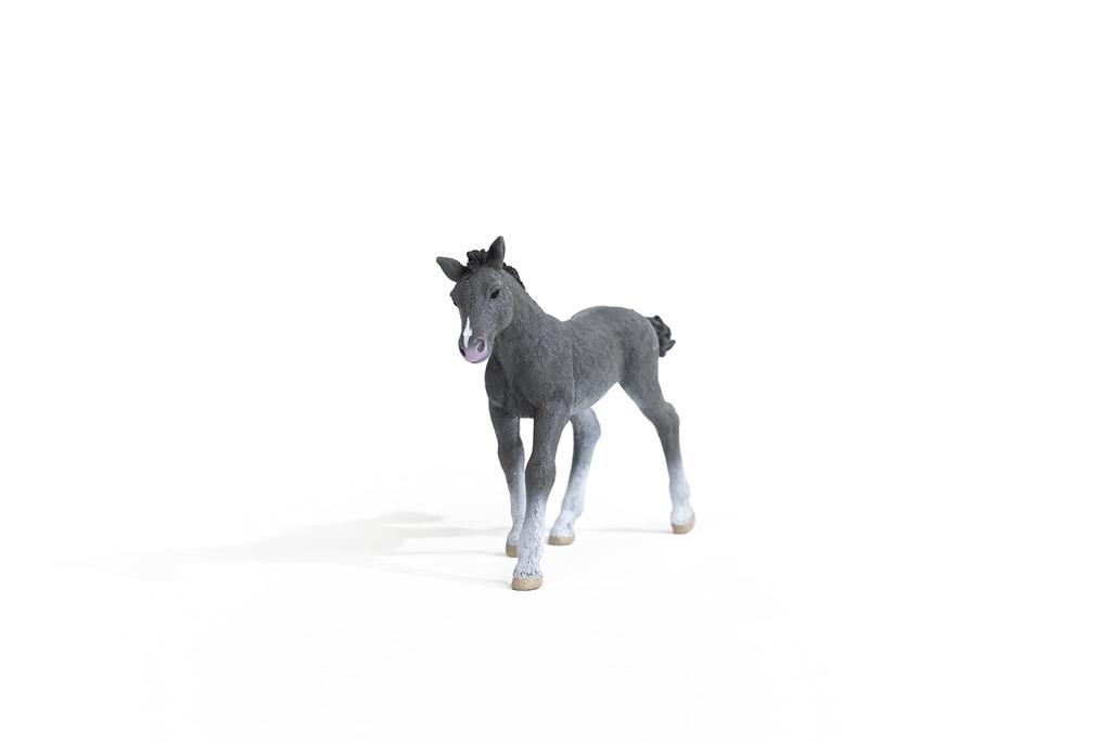 Schleich Horse Club Trakehner Ages Realistic Horse Animal Toy 13944 (foal) Figure, 6+,
