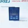 PNZJ Puni CP23S Intelligent Time Relay with Start Trigger, Pause, Reset, 2 Open/2 Closed Contacts
