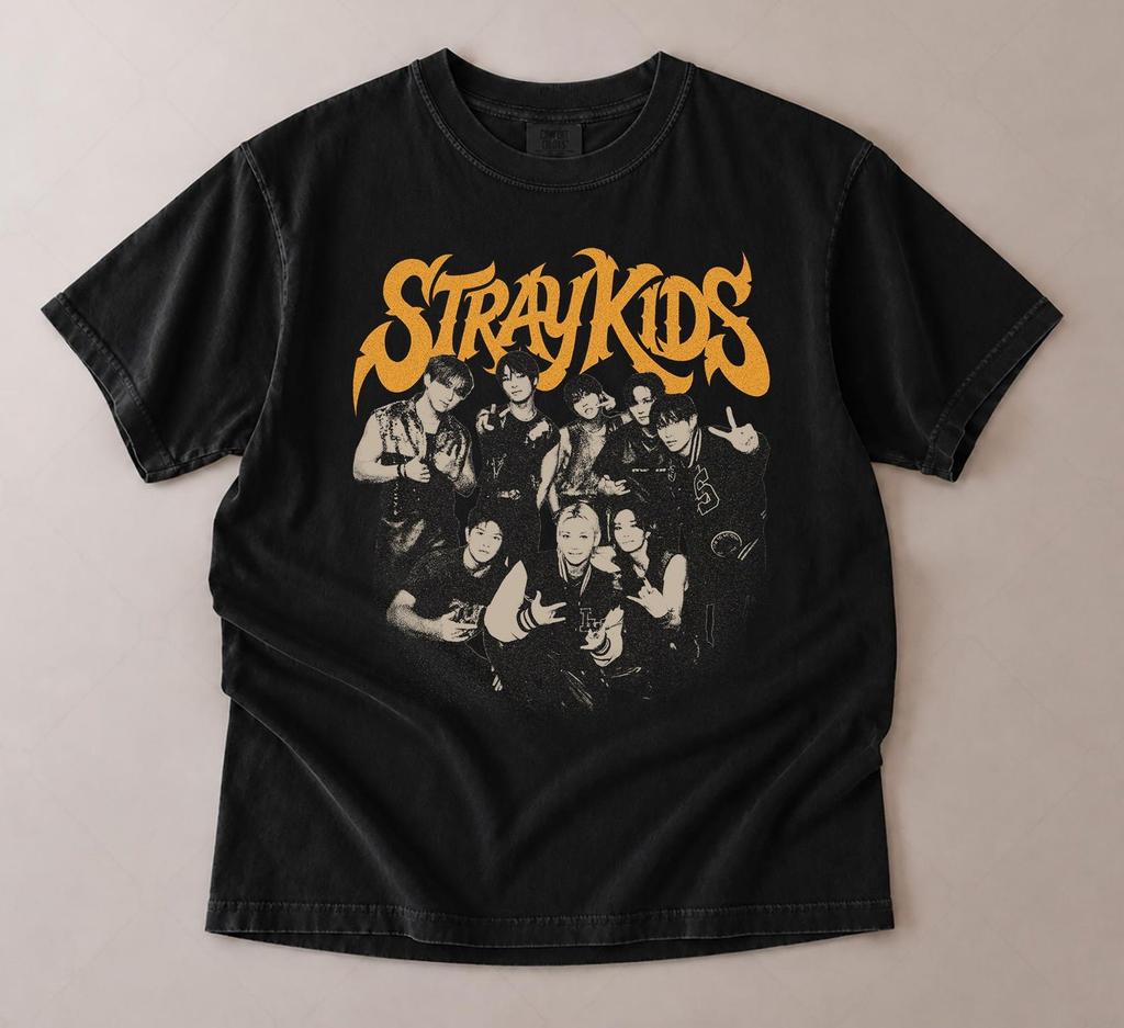 Stray Kids Vintage Ate Album Graphic T-Shirt, SKZ Kpop World Tour Tee