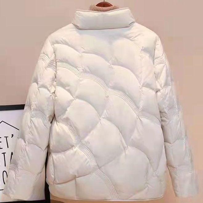 Chice leichte Daunenjacke für Damen - Trendiger Herbst/Winter Stehkragen Bestseller