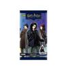 Harry Potter Eternal Edition Card Wizard Collection Card Spell Edition MR Full Set UR Ron Hermione Collection Card