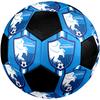 SIZE 5 Erzurumspor FK Soccer Ball Colorful All Ages Machine Stitched PVC Competition Ready Durable High-Bounce