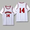 Slam Dunk Jersey Liuchuan Maple No. 11 Short-Sleeved Basketball Jersey Sakuragi Blossom Road No. 10 Xiangbei Team Wuhu