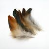 10-15Cm Pheasant Feathers Natural Tail Ringneck For Crafts Long Bulk 50Pcs Plumas Pictures Salon Easter Decoration Goose Trim