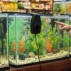 Energy Efficient Fish Tank Cooling Fan Wall Mount USB Cooling Fan  Reptile Terrarium