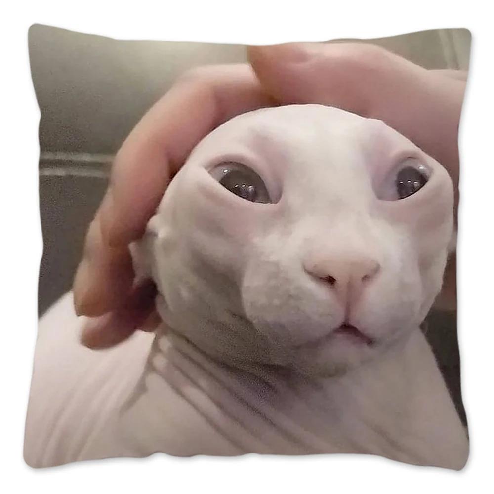 Bingus Cat Meme Pillow Case Home Decoration Funny Cushion Cover for Sofa Livingroom Throw Pillow Cover Fundas Para Cojines