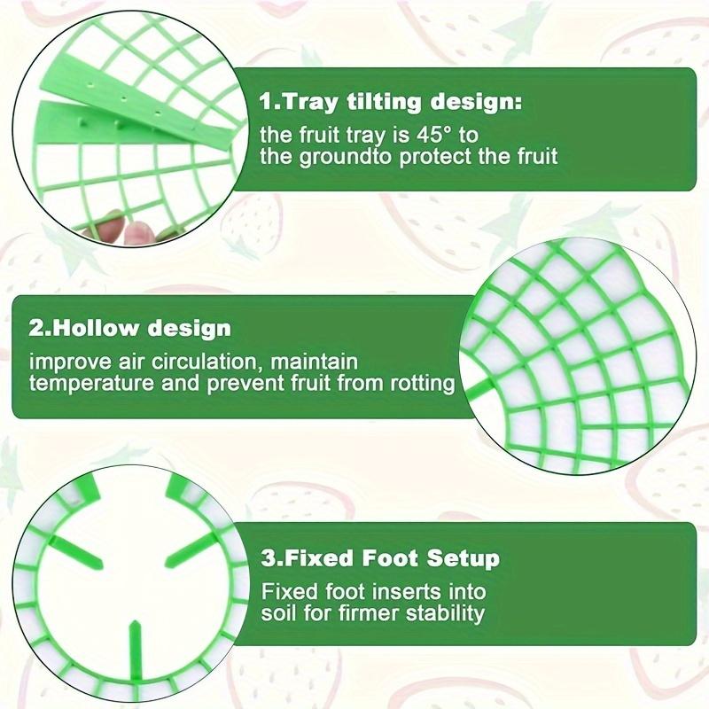 Supporto per Piante di Fragole Verde con 3 Gambe Robuste - Gabbia di Supporto per Piante in PVC, e Corrosione, Aiuto Ideale per la Piantagione