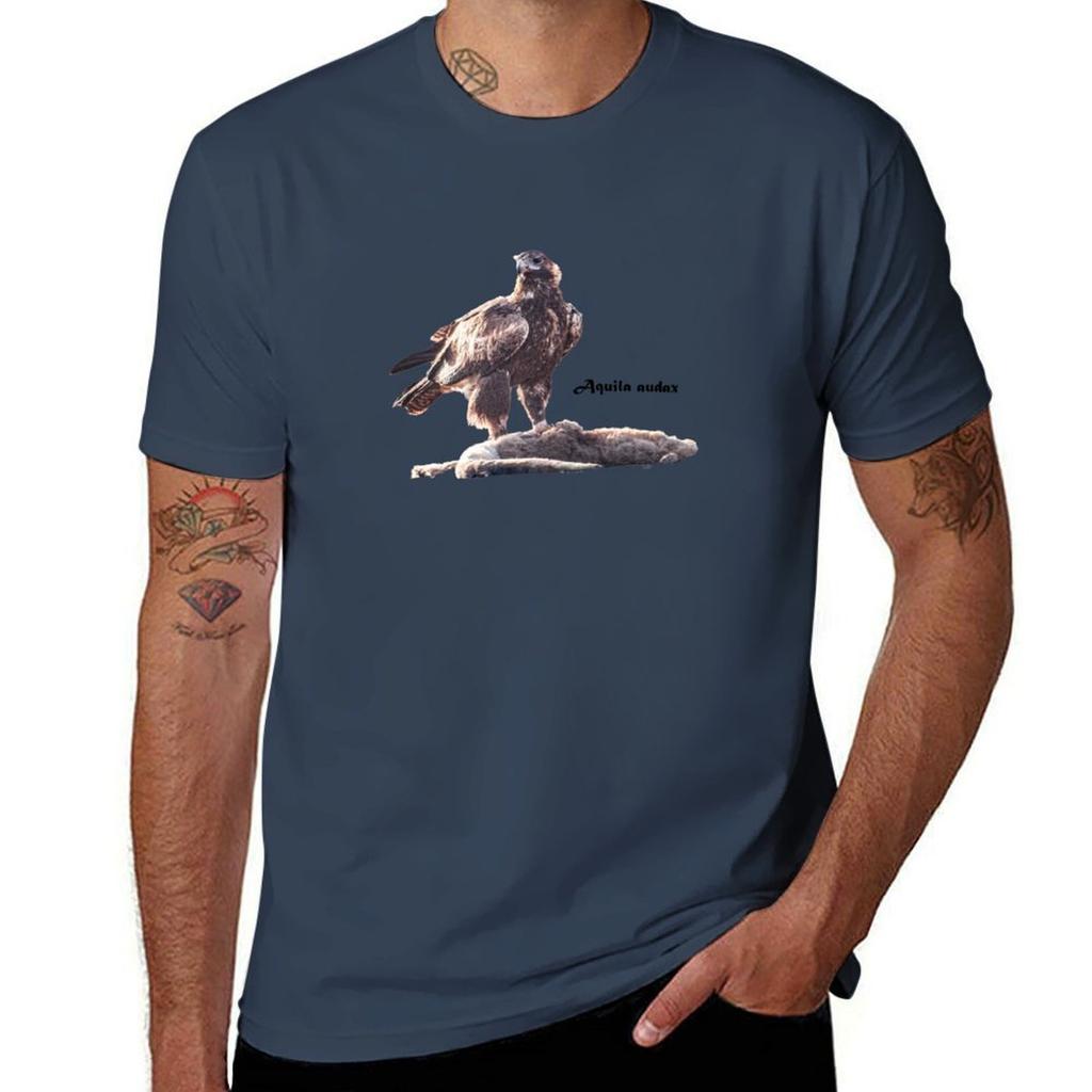 Australischer Keilschwanzadler - Aquila audax mit Känguru-Beute T-Shirt Trendiger Print Kurzarm-T-Shirt