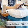 Desktop Power Supply That Blends Into Your Portable Power Station 80Wh Laptop Charging Iron Desk Home Lightweight with Light A LifeStylish PD65W,