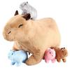 Bebek ve Peluş Oyuncaklar – Doldurulmuş ve Peluş oyuncak hayvanlar