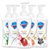 Safeguard Pomegranate Revitalizing Foaming Body Wash
