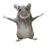Cute Simulated Mouse Doll Funny Soft Stuffed Plush Animal Figure for Desk Ornament Kids Birthday Gifts