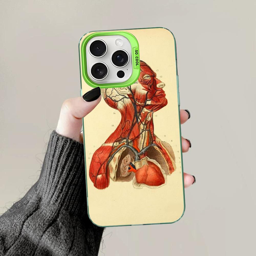 Medical Human Anatomy Phone Case For IPhone 16 15 14 13 12 11 Pro Max X XR XSMAX 8 7 Plus Matte Shockproof Back Cover